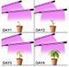 Светодиодная фитолампа Led Plant Grow Двойная на прищепке 2 лампы KU-2212 фото 5