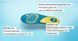Силиконовые женские стельки ActivGel 36-42 KU- 4027 фото 3