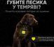 Светодиодный СОВ фонарь-прожектор 800 лм, Type-C с магнитом, карабином и открывашкой для бутылок D-154 фото 10