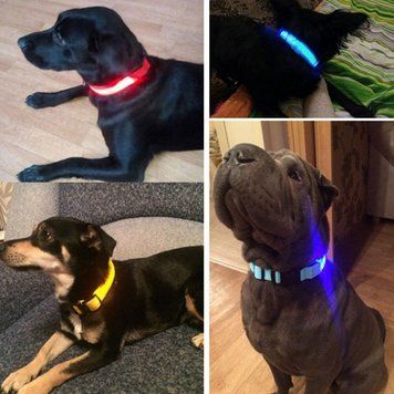 Светящийся ошейник с LED подсветкой, USB зарядка S NJ- 506S фото