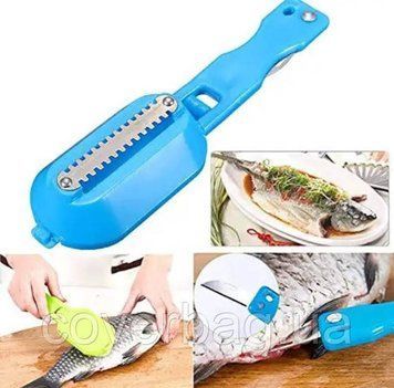 Нож-скребок для рыбы Killing Fish Sharpener Зеленый рыбочиска с контейнером для чиски и удаления чешуи AN- 1096 фото
